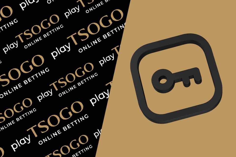 Playtsogo Account Login South Africa