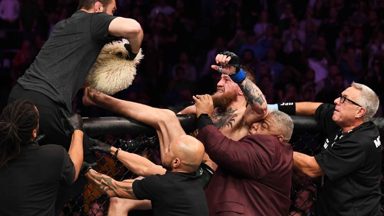 UFC's Dana White Disapproves Of Mass Brawl After Khabib vs McGregor
