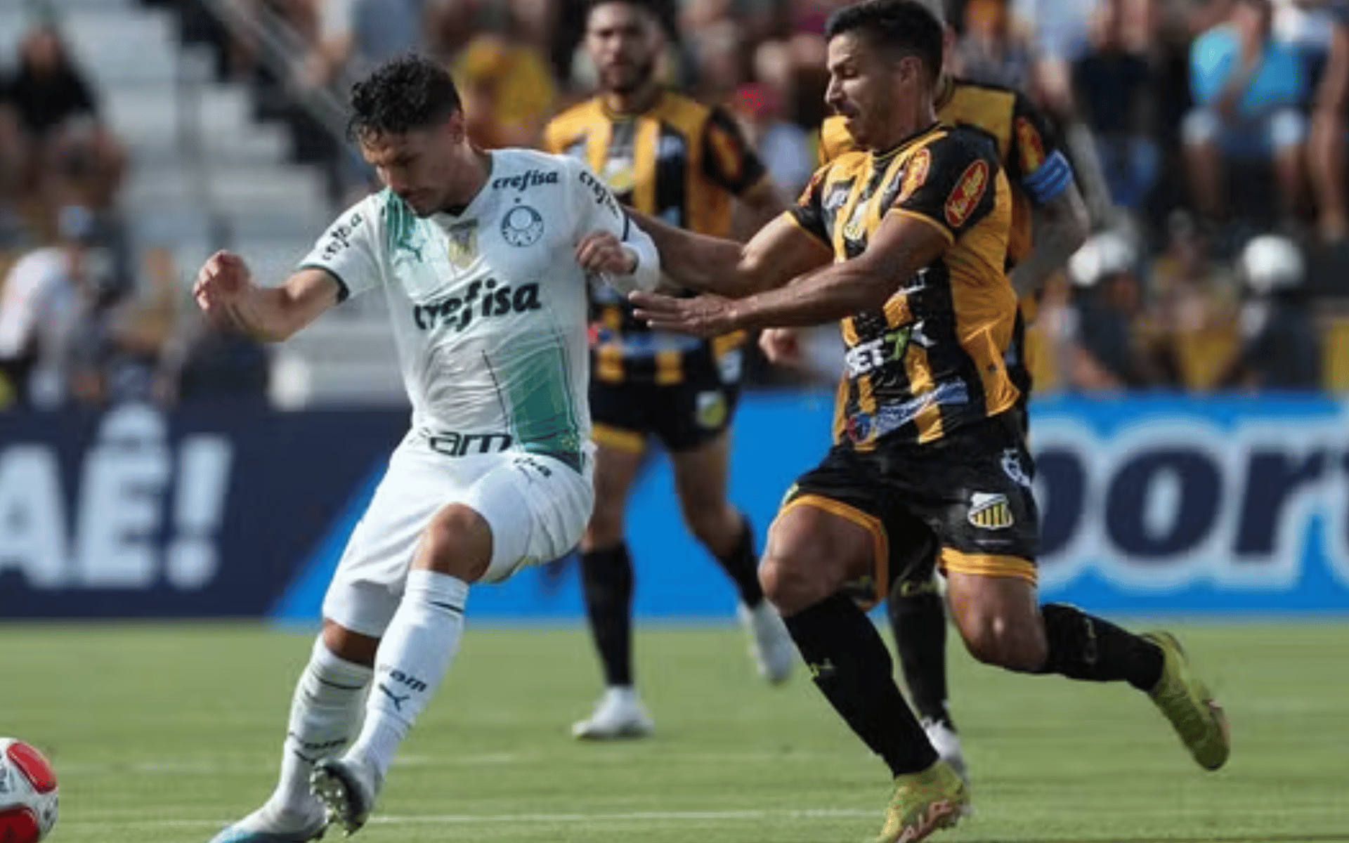Palmeiras vs. Novorizontino. Pronostico, Apuestas y Cuotas│29 de marzo de 2024