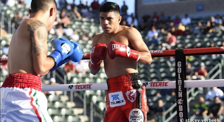 Mexican Boxer KOs His Opponent and His Coach
