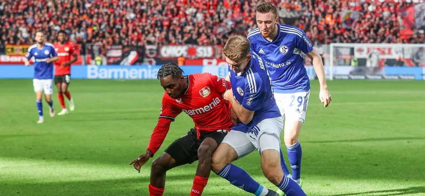 Schalke vs. Hoffenheim. Pronóstico, Apuestas y Cuotas | 14 de octubre de 2022