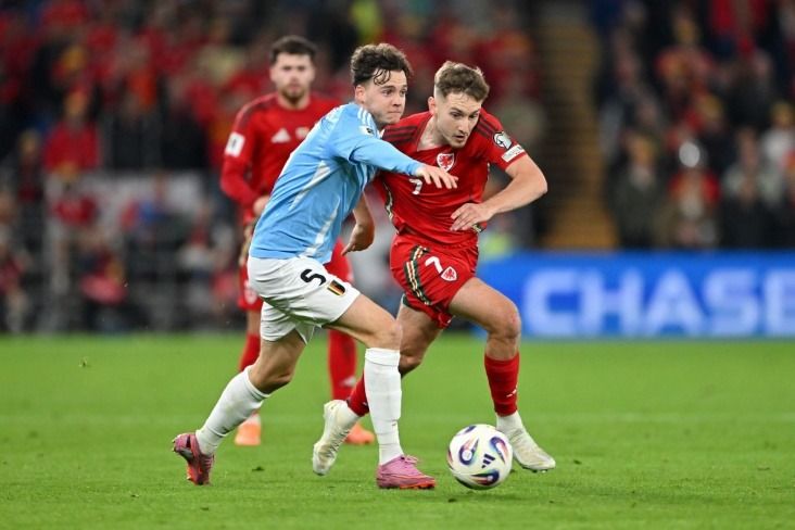 Wales vs Belgium Interrupted by Rat on the Field