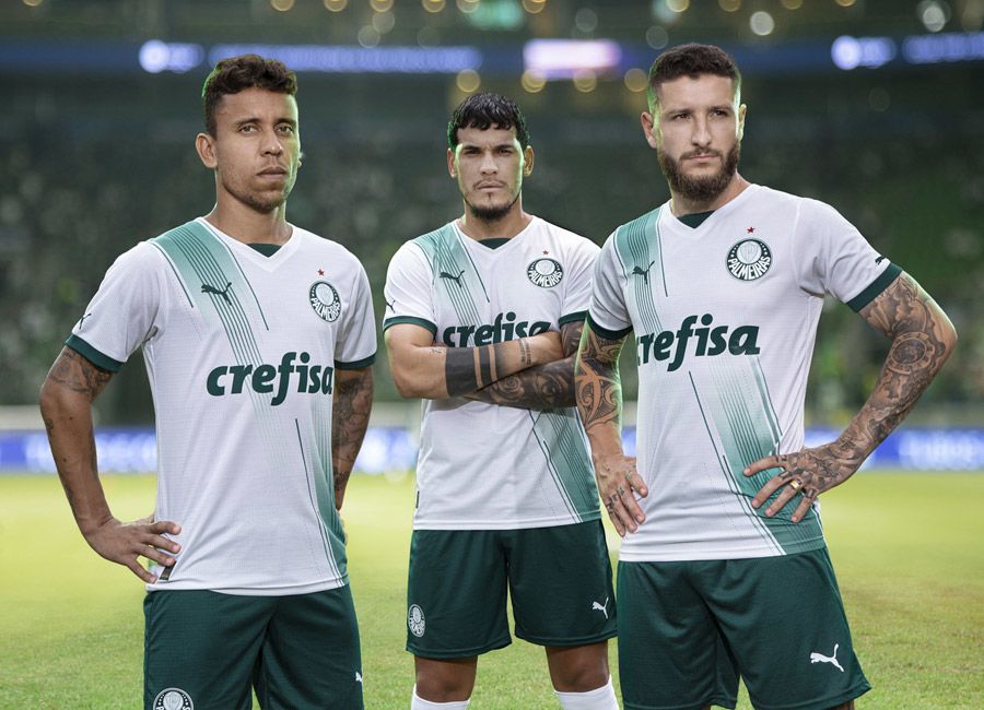 Fortaleza EC vs Palmeiras Prediction, Betting Tips and Odds | 1 JUNE 2023