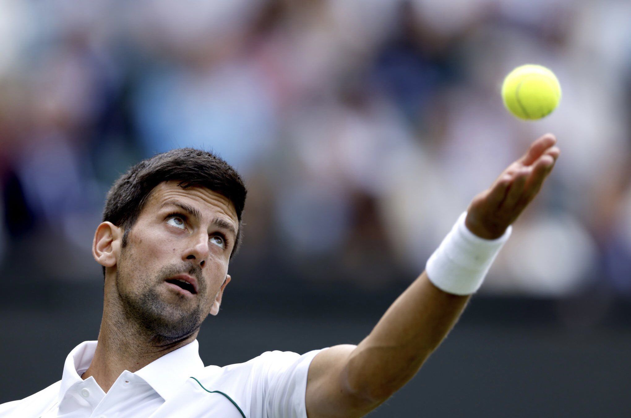 Wimbledon 2022 Match Result: Novak Djokovic vs Thanasi Kokkinakis: Novak wins (6-1, 6-4, 6-2)