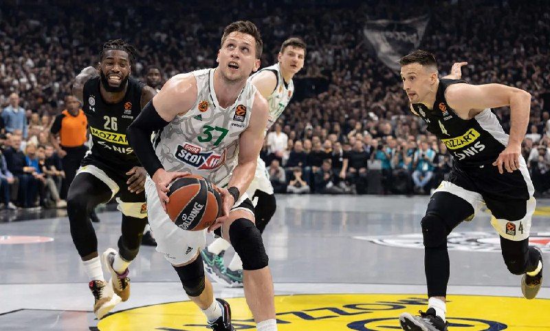 Partizan vs Panathinaikos. Pronóstico, Apuestas y Cuotas│30 de noviembre de 2023