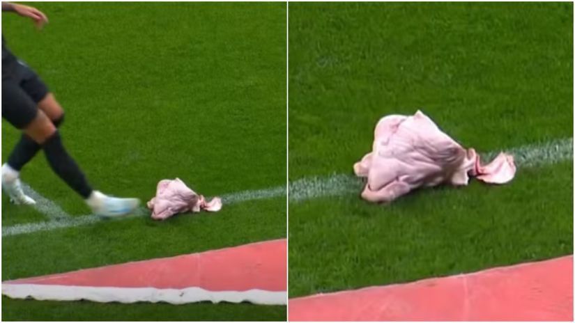 Globo: Corinthians Fan Sentenced for Throwing Pig’s Head Onto Pitch