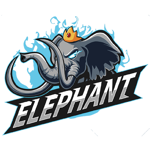 Elephant vs Fnatic: The Chinese team will easily pick up points