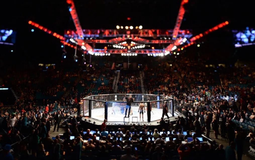 UFC 320 Tournament May Be Moved from Mexico to the U.S.