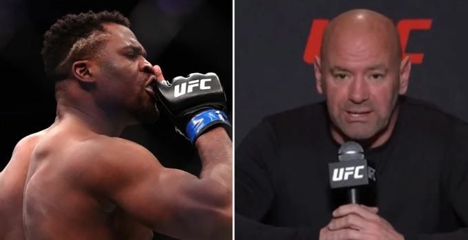 Former UFC champion Ngannou responds to Dana White's criticism