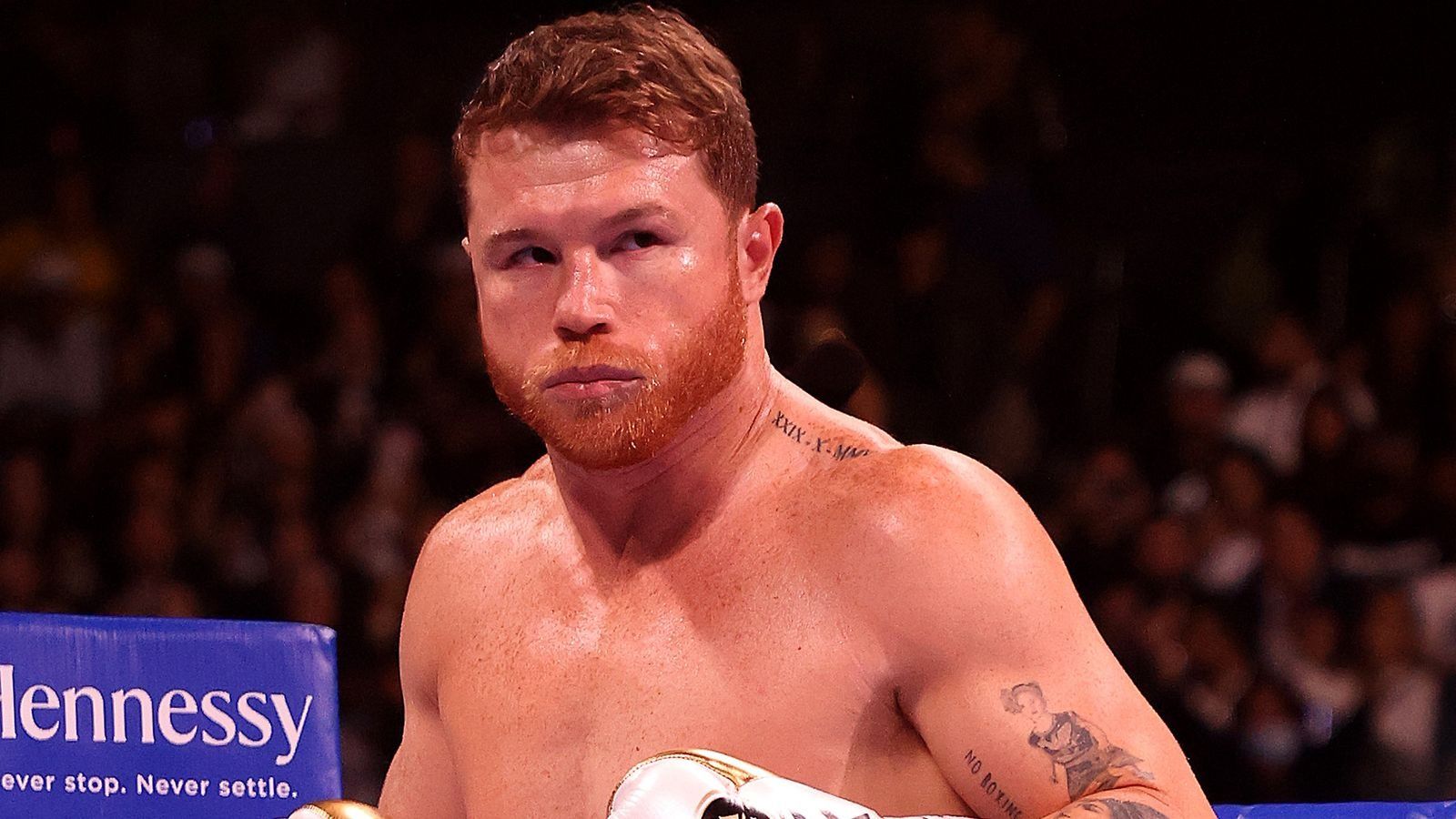I Might Make a Few Appearances in WWE: Canelo