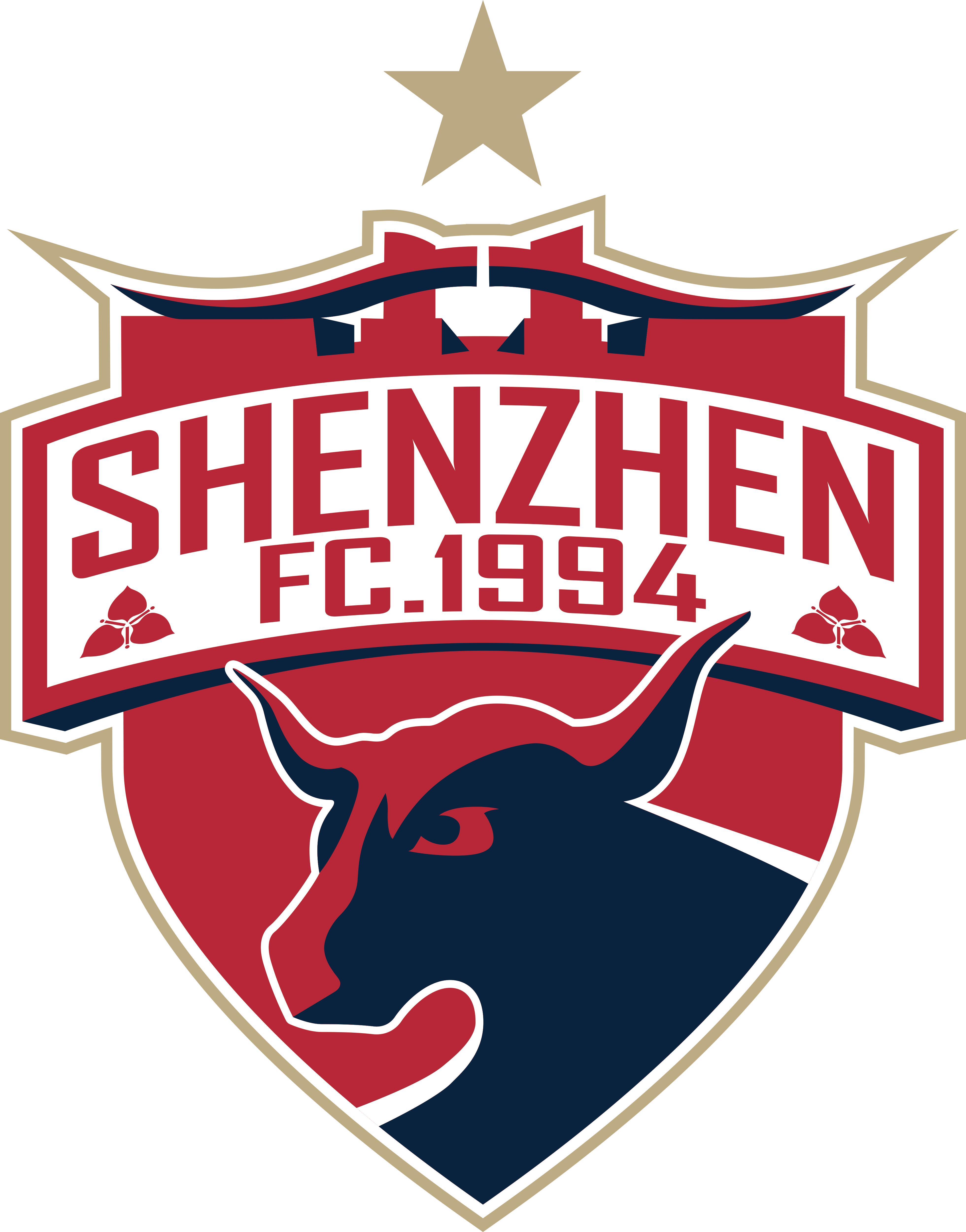 Shenzhen FC