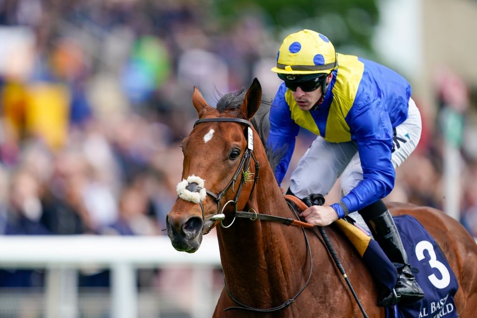 King george horse race 2022 betting tips utah vs la clippers