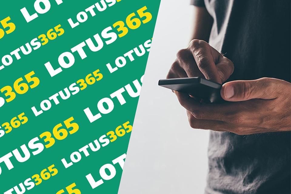 Lotus 365 Android App India