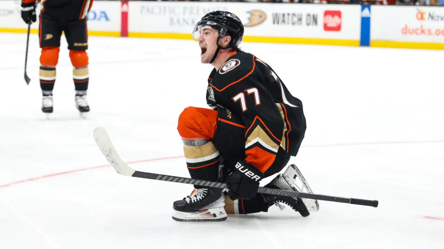 Anaheim Ducks vs Montreal Canadiens Prediction, Betting Tips & Oddsmakers │23 NOVEMBER, 2023