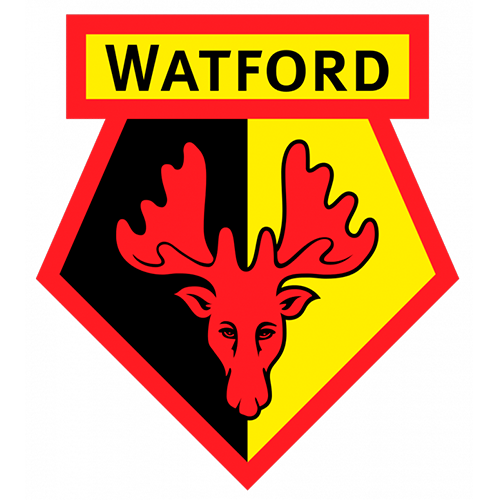 Norwich City vs Watford: Bet on Total Cards Over