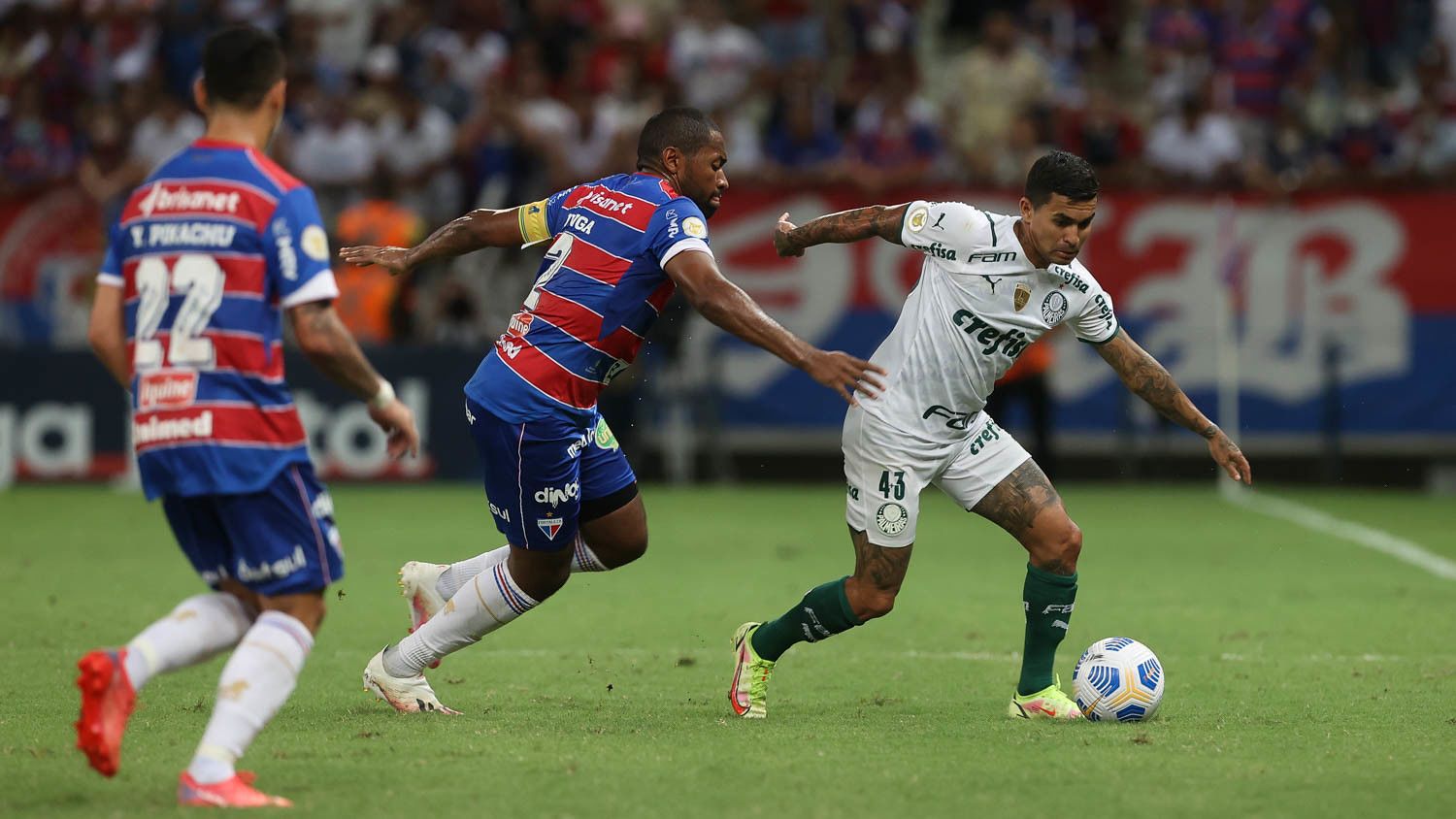 Fortaleza vs. Palmeiras. Pronostico, Apuestas y Cuotas│27 de noviembre de 2023