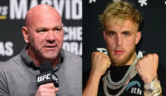 Jake Paul Exposes UFC President White's Hypocrisy over Ngannou's Signing with PFL