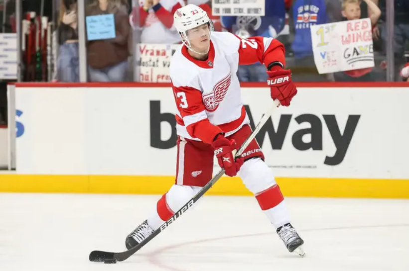Anaheim Ducks vs Detroit Red Wings Prediction, Betting Tips & Odds │8 JANUARY, 2024