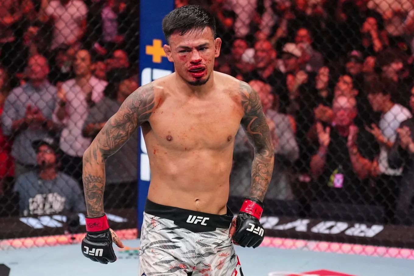 My Health Is Ok, I’ll Live to Fight Another Day: Royval on Loss to Kape