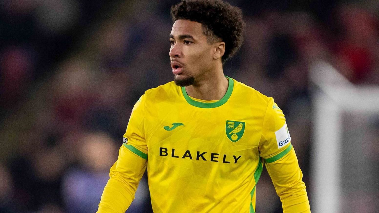 Norwich City vs Cardiff City: Prediction for the Match on May 03 2025