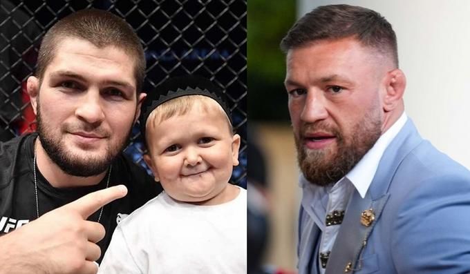 McGregor offered Hasbik a sparring session and deleted the message, the blogger responded