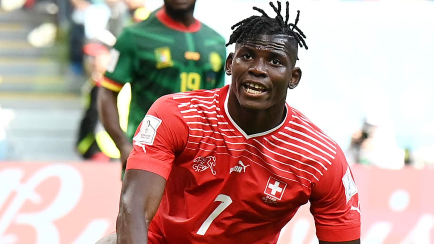 Suiza ganó por la mínima diferencia a la selección de Camerún 1:0
