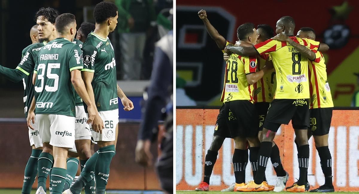 Deportivo Pereira vs. Palmeiras. Pronostico, Apuestas y Cuotas│24 de agosto de 2023