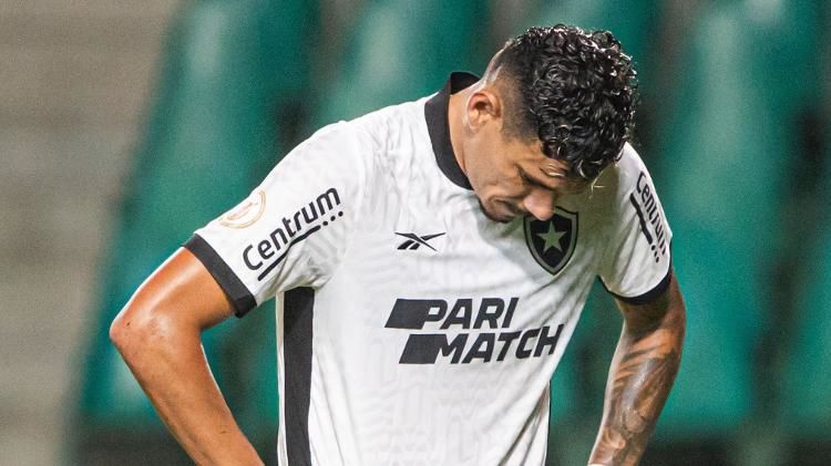 Botafogo vs Cruzeiro Prediction, Betting, Tips, and Odds | 4 DECEMBER 2023