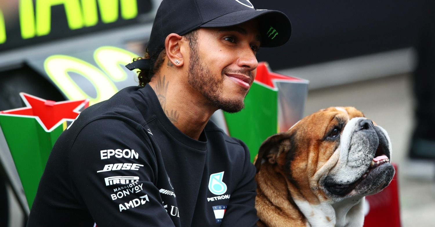 Hamilton to Miss Tire Tests Due to His Dog