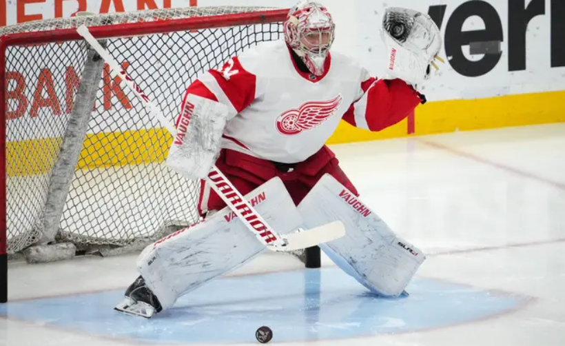 Detroit Red Wings vs Dallas Stars Prediction, Betting Tips & Odds │24 JANUARY, 2024
