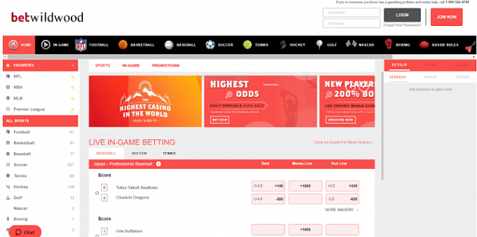 Betwildwood registration pop-up window