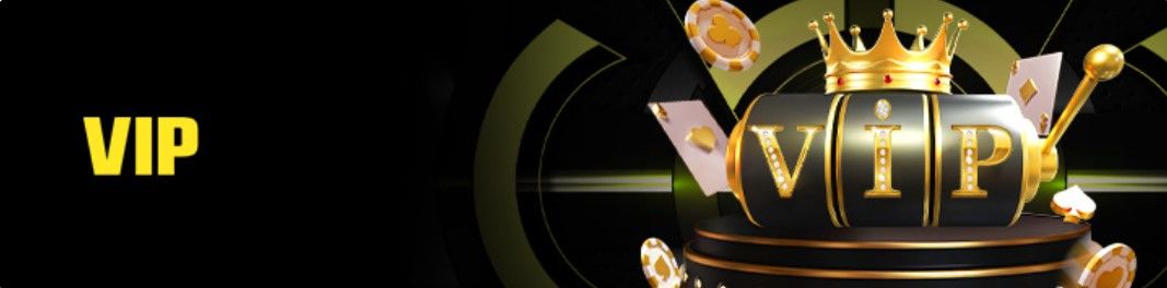 BetVisa BD Loyalty Program BetVisa BD VIP