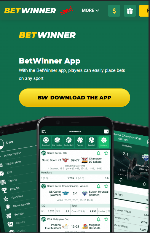 What Is Betwinner Partenaire and How Does It Work?