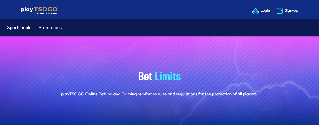 Playtsogo South Africa Account Adjustments