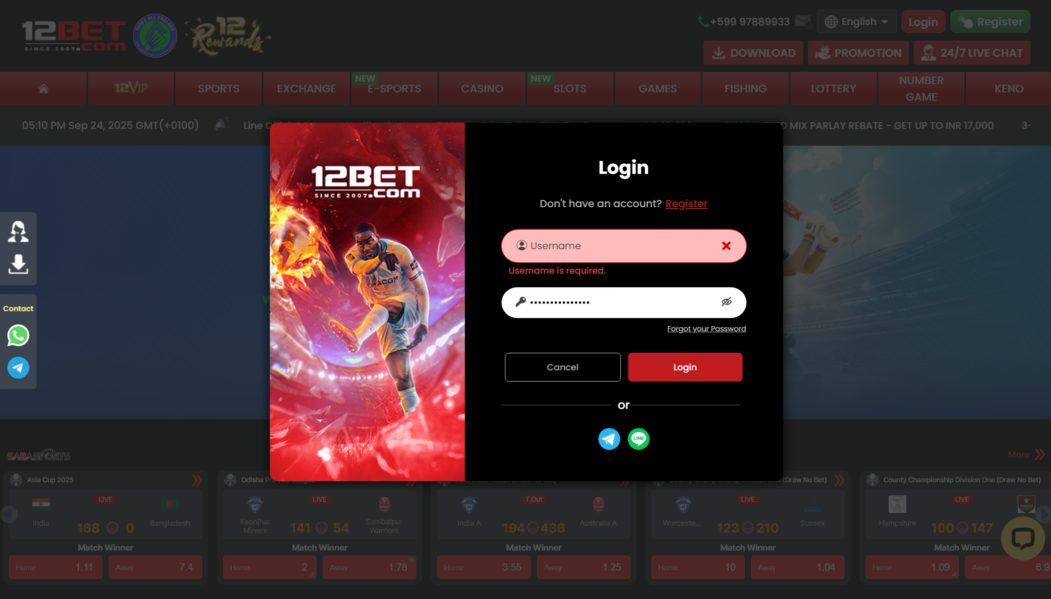 Find the login form