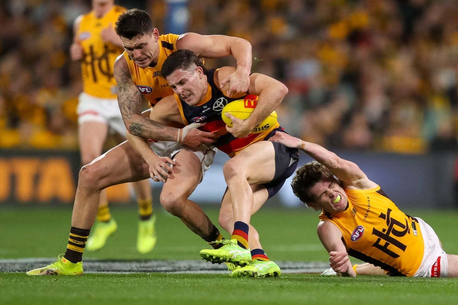 Adelaide v Hawthorn