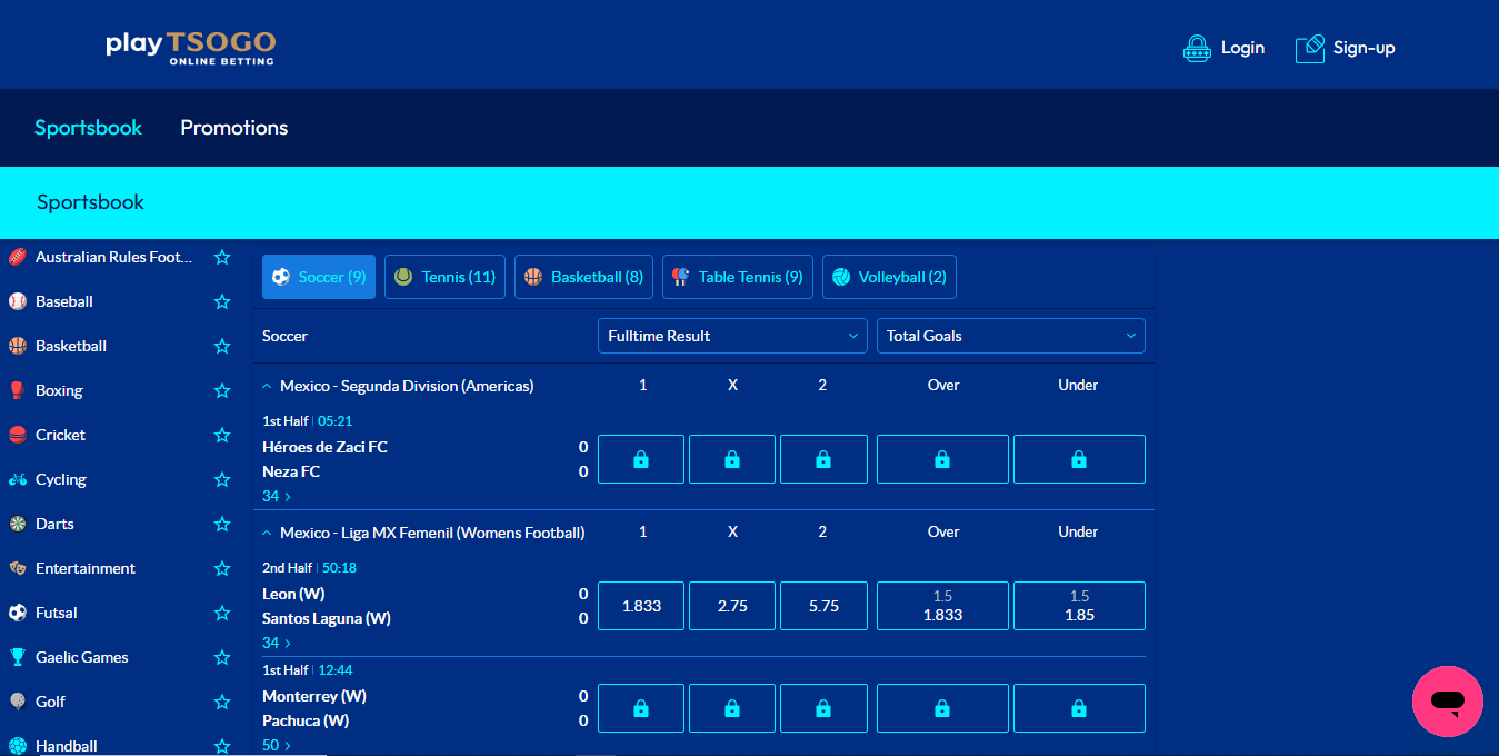Playtsogo Casino Login Process Banner
