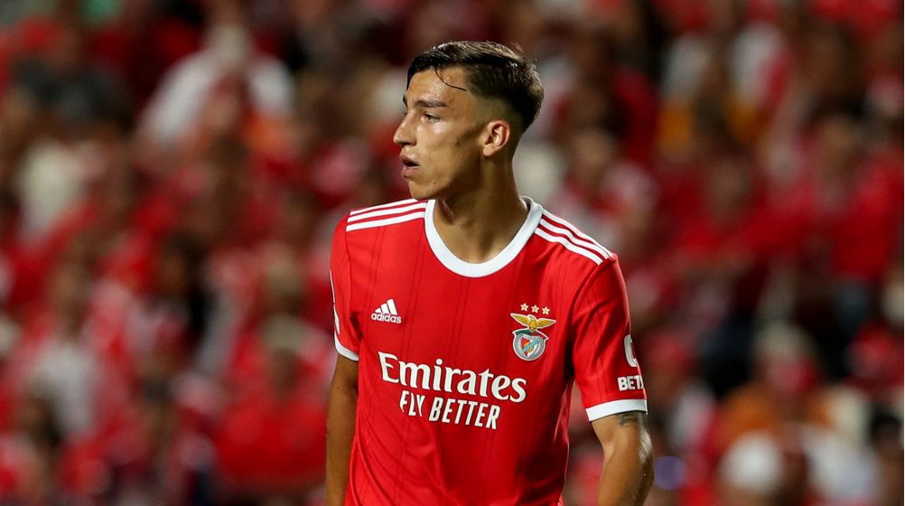 Petar Musa Petar Musa