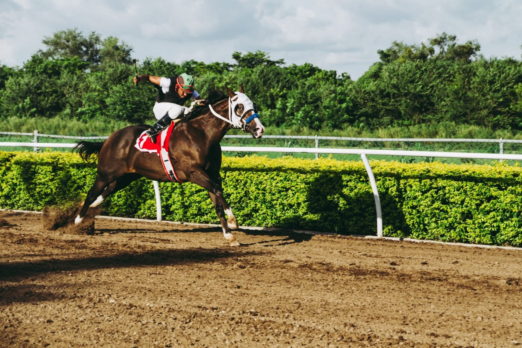 Image of jockey riding a horse