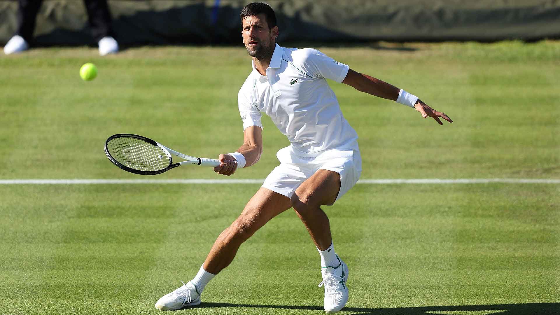 N. Djokovic