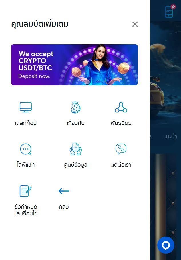 เมนูเพิ่มเติม 