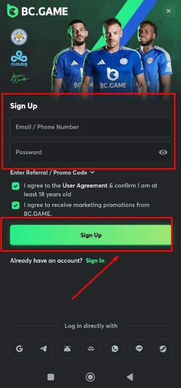 Step 3. You need to fill in your personal basic details to register your Bc.Game account there.