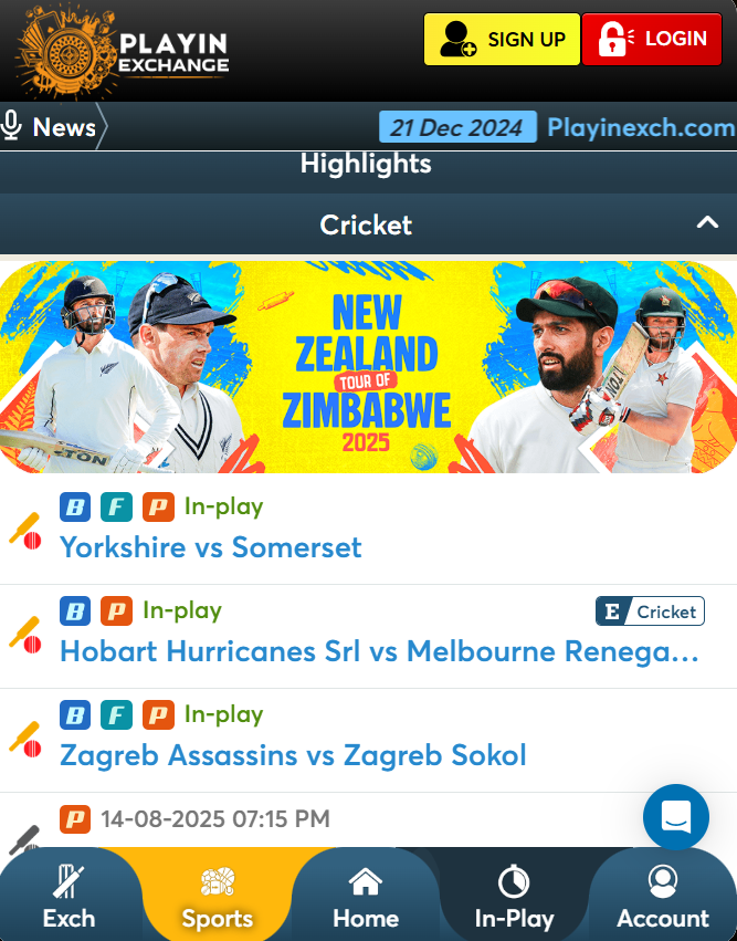 Playinexch Gameplay screen or live odds