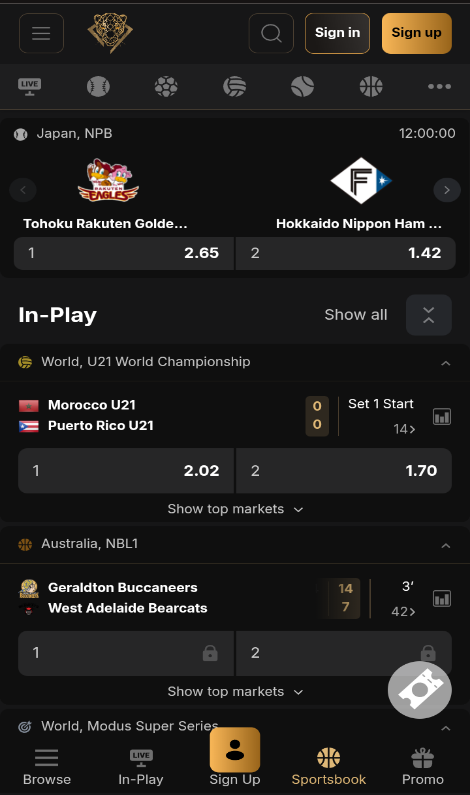 Pantherbet Mobile Version Image