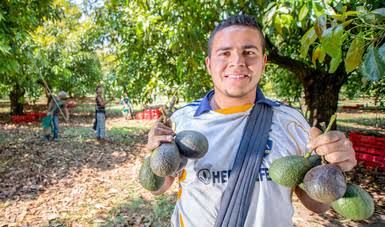 Productor mexicano Productor mexicano