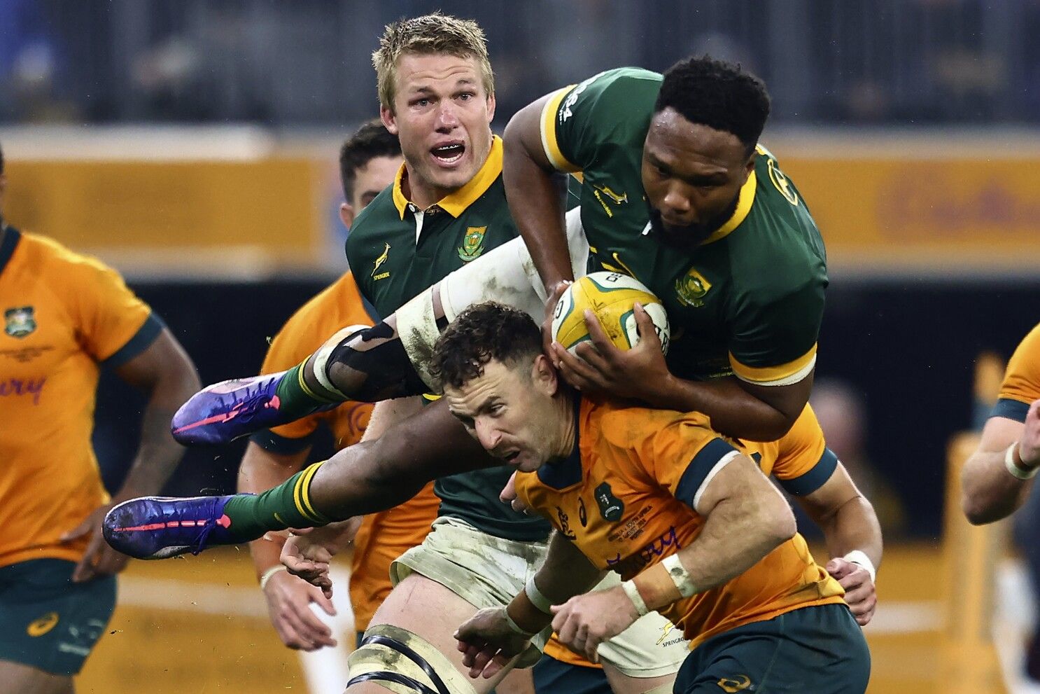 South Africa Springboks vs Australia Wallabies South Africa Springboks vs Australia Wallabies