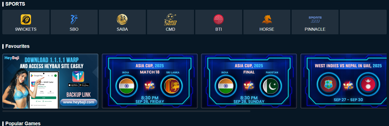 HeyBaji Sportsbook cricket match screen