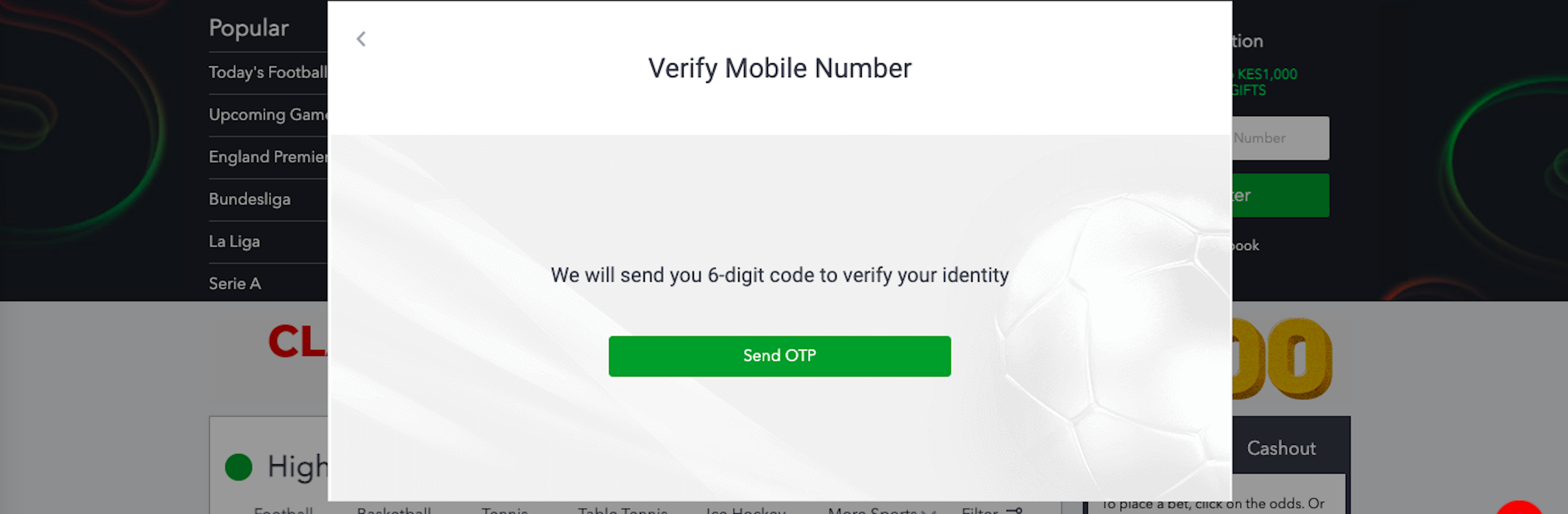 Verify Mobile Number