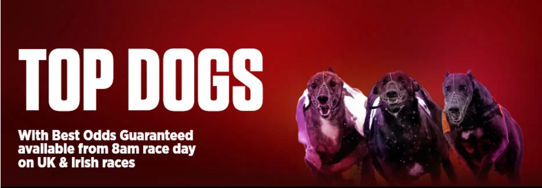 Ladbrokes Best odds on Greyhounds up to £/€2500