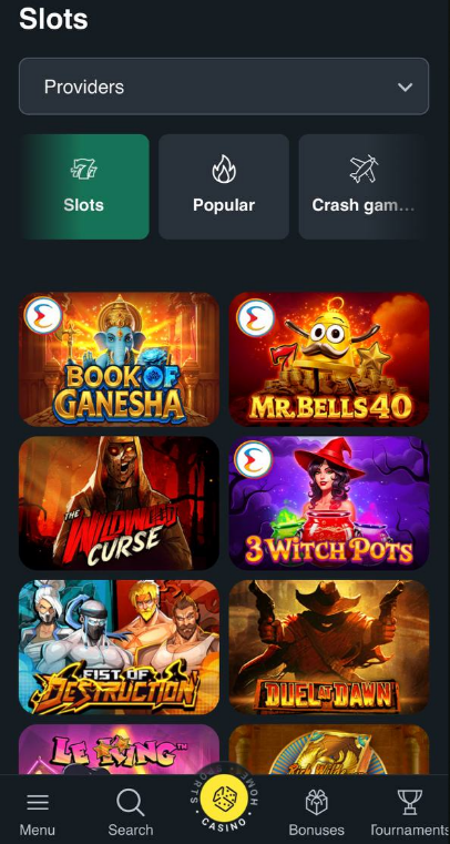 Rajbet Casino Section